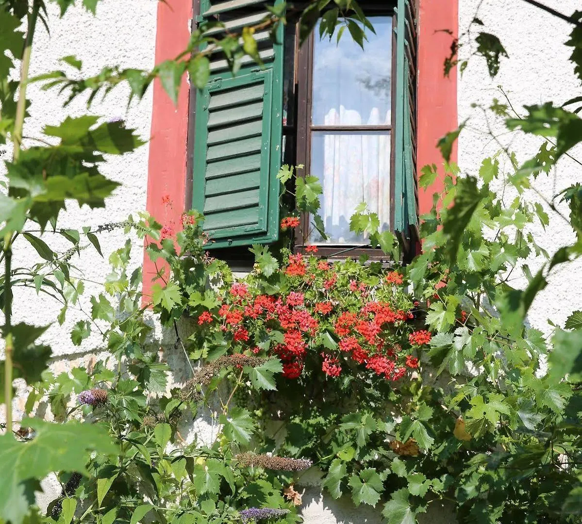 ** Guest house Haus Wartenberg Salzburg Austria